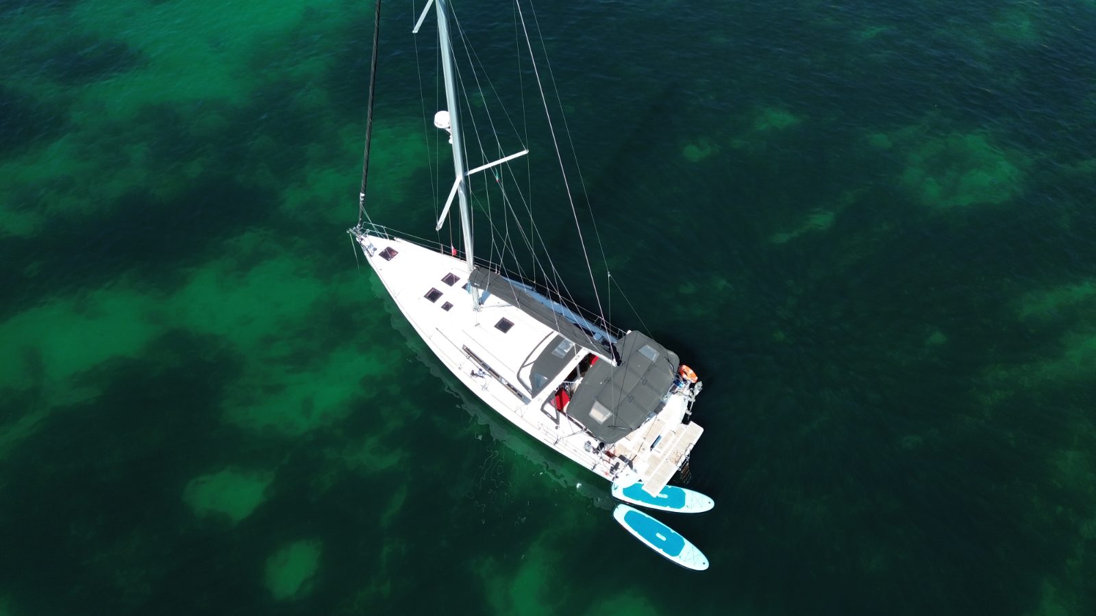 Morning half-day sailing charter leaving Lagos, cliffs of Ponta da Piedade ahead